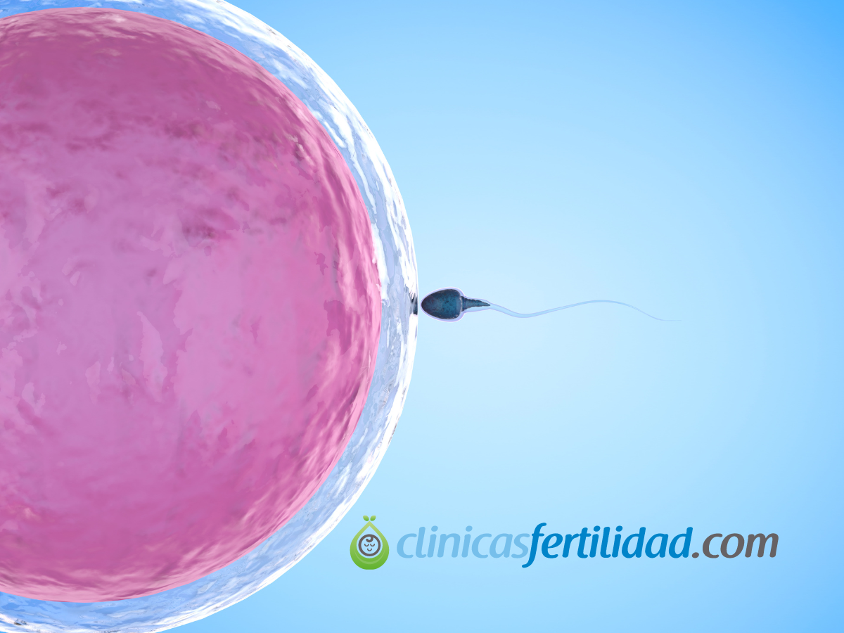 ¿Sabes en qué consiste el embryoscope?